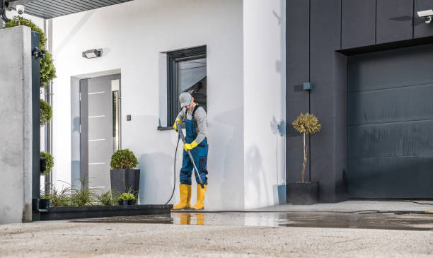 Best Driveway Pressure Washing  in Millers Creek, NC